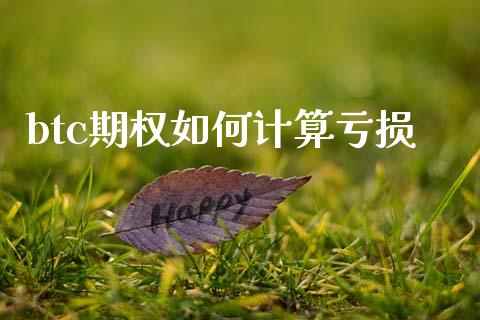 btc期权如何计算亏损_https://www.apanben.com_国际期货_第1张