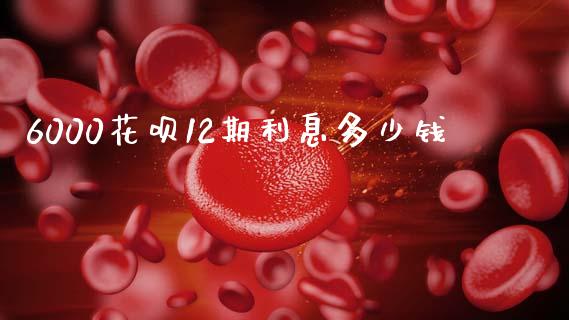 6000花呗12期利息多少钱_https://www.apanben.com_国际财经_第1张