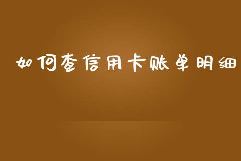 如何查信用卡账单明细_https://www.apanben.com_财经资讯_第1张
