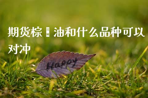 期货棕榈油和什么品种可以对冲_https://www.apanben.com_财经资讯_第1张