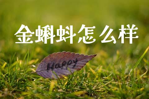 金蝌蚪怎么样_https://www.apanben.com_股市分析_第1张