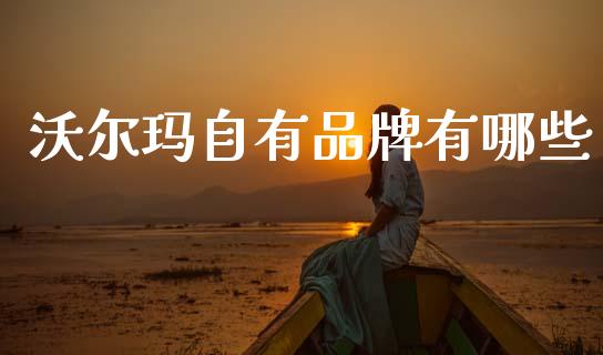 沃尔玛自有品牌有哪些_https://www.apanben.com_国际财经_第1张