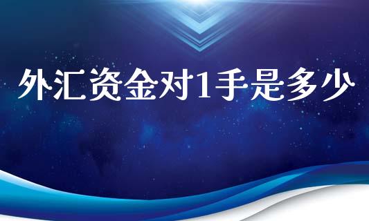 外汇资金对1手是多少_https://www.apanben.com_财经资讯_第1张
