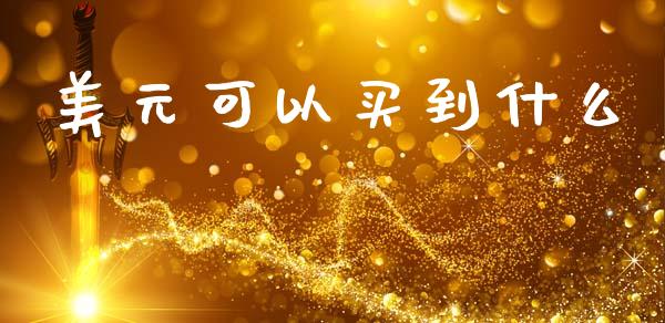 美元可以买到什么_https://www.apanben.com_期货学院_第1张