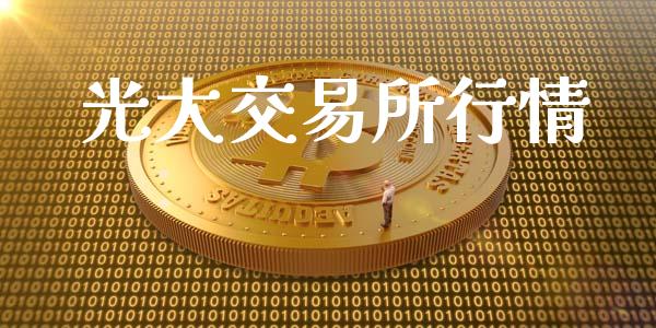 光大交易所行情_https://www.apanben.com_财经资讯_第1张