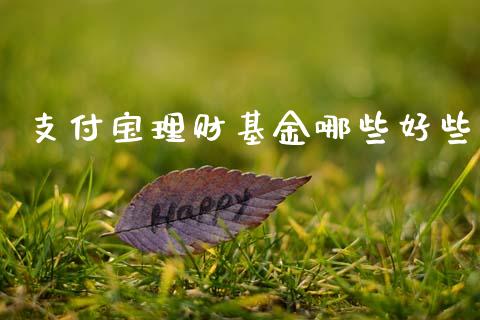 支付宝理财基金哪些好些_https://www.apanben.com_国际财经_第1张