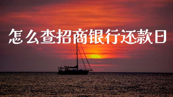 怎么查招商银行还款日_https://www.apanben.com_国际期货_第1张