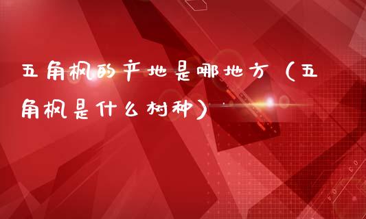 五角枫的产地是哪地方（五角枫是什么树种）_https://www.apanben.com_国际期货_第1张