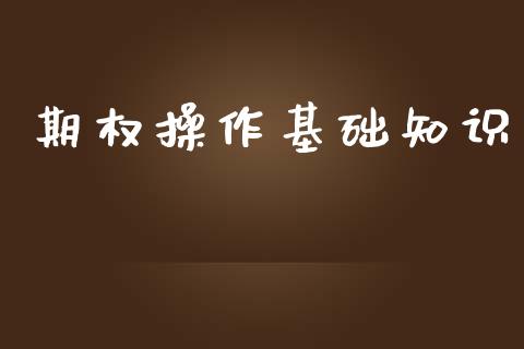 期权操作基础知识_https://www.apanben.com_财经资讯_第1张