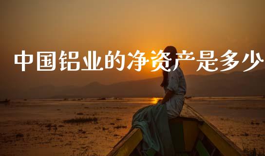 中国铝业的净资产是多少_https://www.apanben.com_国际财经_第1张