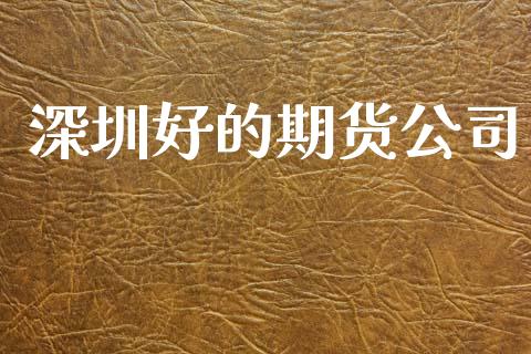 深圳好的期货公司_https://www.apanben.com_国际财经_第1张