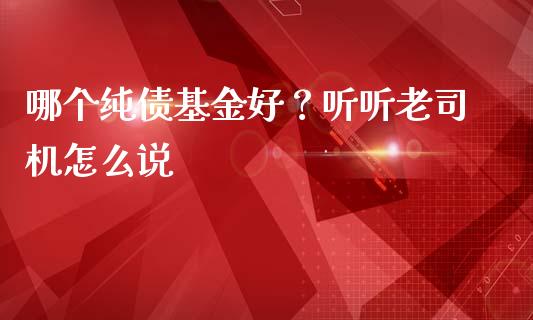 哪个纯债基金好？听听老司机怎么说_https://www.apanben.com_国际期货_第1张