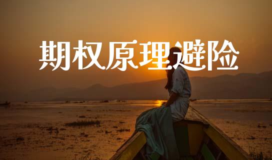 期权原理避险_https://www.apanben.com_股票怎么玩_第1张