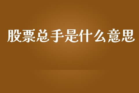 股票总手是什么意思_https://www.apanben.com_在线喊单_第1张