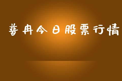 普冉今日股票行情_https://www.apanben.com_股票怎么玩_第1张