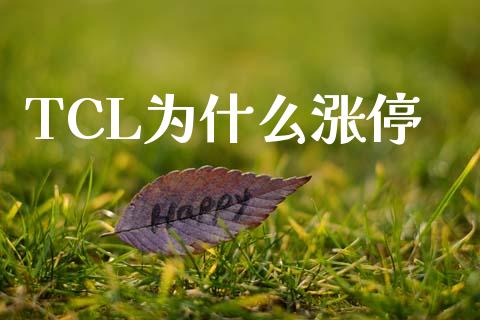 TCL为什么涨停_https://www.apanben.com_股市指导_第1张