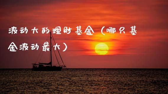 波动大的理财基金（哪只基金波动最大）_https://www.apanben.com_财经资讯_第1张