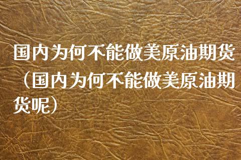 国内为何不能做美原油期货（国内为何不能做美原油期货呢）_https://www.apanben.com_期货学院_第1张