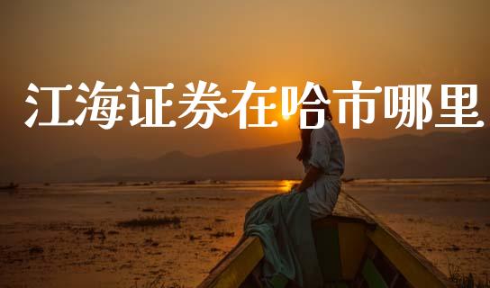 江海证券在哈市哪里_https://www.apanben.com_股市分析_第1张