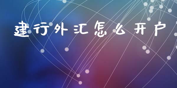 建行外汇怎么开户_https://www.apanben.com_期货学院_第1张