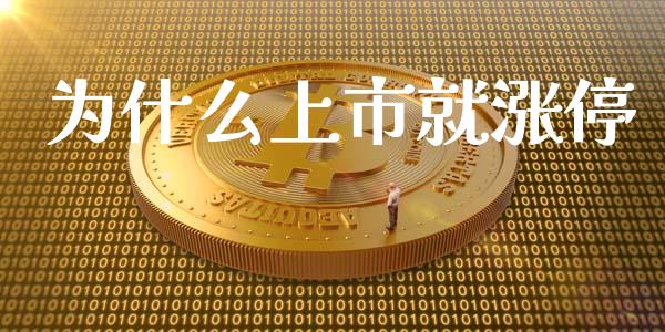 为什么上市就涨停_https://www.apanben.com_期货学院_第1张