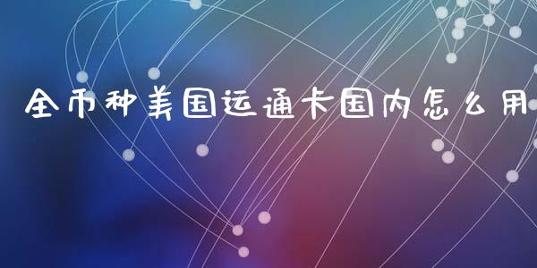 全币种美国运通卡国内怎么用_https://www.apanben.com_股市指导_第1张