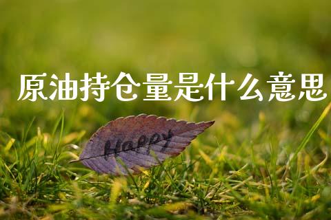 原油持仓量是什么意思_期货学院_第1张_安贝财经网 原油持仓量是什么意思_https://www.apanben.com_期货学院_第1张