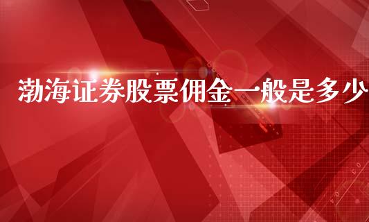 渤海证券股票佣金一般是多少_https://www.apanben.com_股票怎么玩_第1张