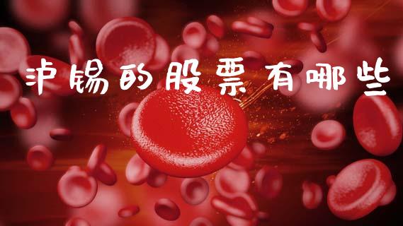 泸锡的股票有哪些_https://www.apanben.com_股票怎么玩_第1张