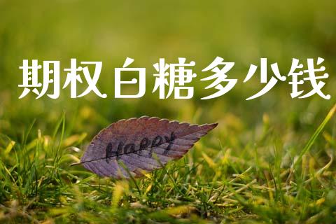 期权白糖多少钱_https://www.apanben.com_国际期货_第1张