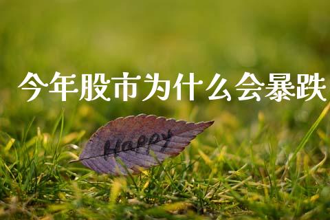 今年股市为什么会暴跌_https://www.apanben.com_国际财经_第1张