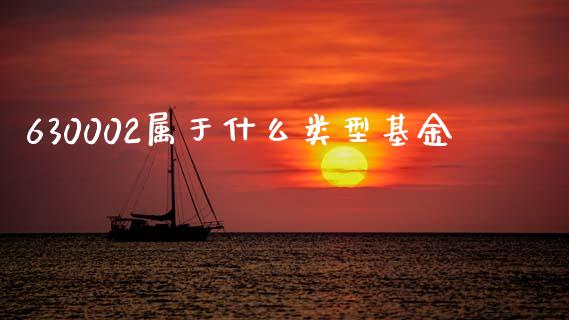 630002属于什么类型基金_https://www.apanben.com_国际期货_第1张