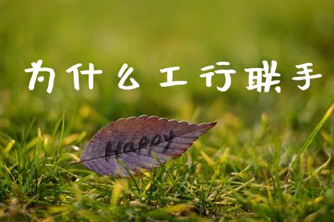 为什么工行联手_https://www.apanben.com_国际财经_第1张
