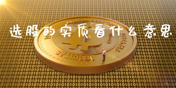 选股的实质看什么意思_https://www.apanben.com_国际期货_第1张