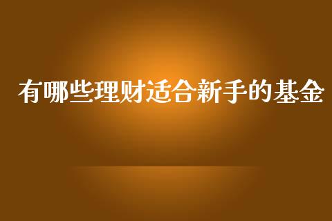 有哪些理财适合新手的基金_https://www.apanben.com_国际财经_第1张