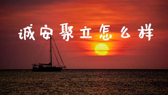 诚安聚立怎么样_https://www.apanben.com_期货学院_第1张