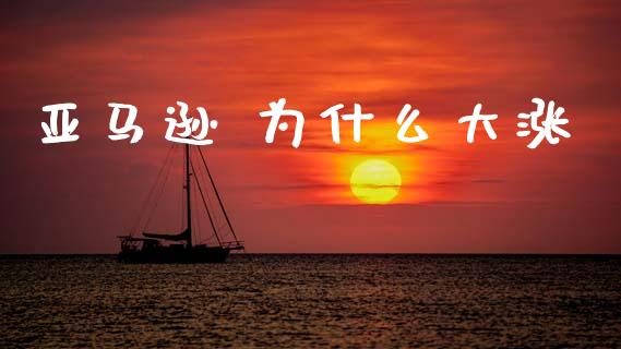 亚马逊 为什么大涨_https://www.apanben.com_国际财经_第1张
