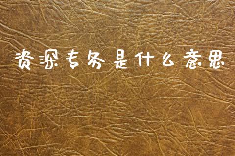 资深专务是什么意思_https://www.apanben.com_在线喊单_第1张