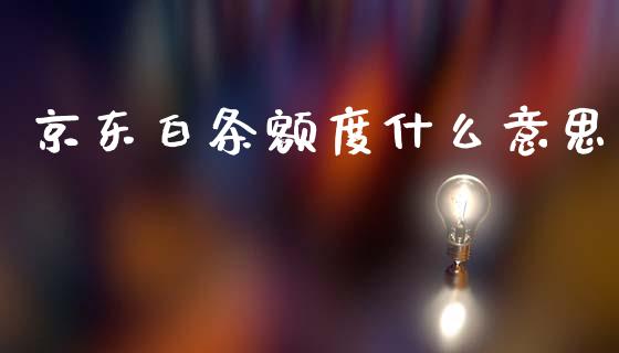 京东白条额度什么意思_https://www.apanben.com_股票怎么玩_第1张