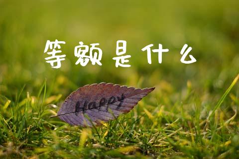 等额是什么_https://www.apanben.com_国际期货_第1张