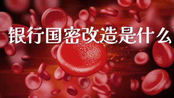 银行国密改造是什么_https://www.apanben.com_财经资讯_第1张