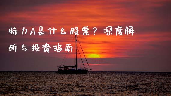 特力A是什么股票？深度解析与投资指南_https://www.apanben.com_股市分析_第1张
