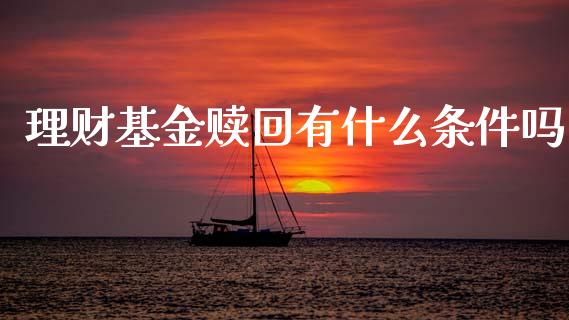 理财基金赎回有什么条件吗_https://www.apanben.com_国际财经_第1张