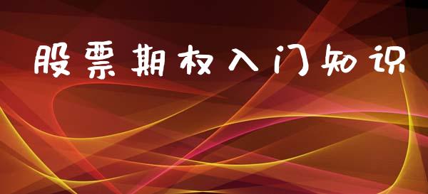 股票期权入门知识_https://www.apanben.com_股市分析_第1张