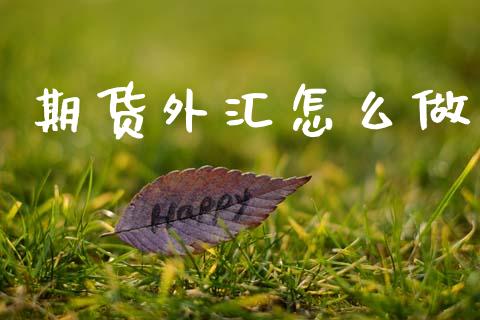 期货外汇怎么做_https://www.apanben.com_股市分析_第1张