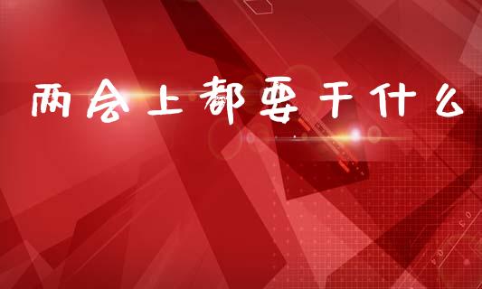 两会上都要干什么_https://www.apanben.com_财经资讯_第1张