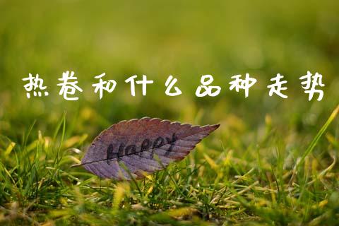 热卷和什么品种走势_https://www.apanben.com_国际财经_第1张