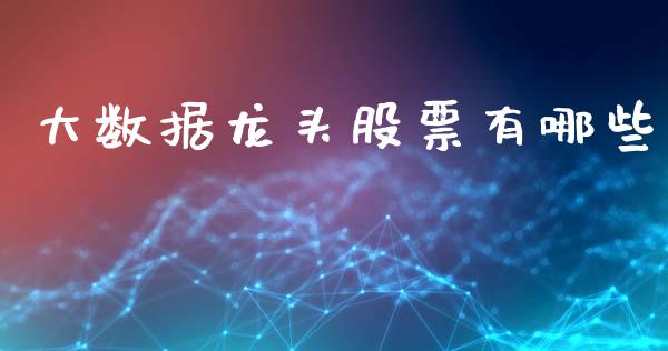 大数据龙头股票有哪些_https://www.apanben.com_股市指导_第1张