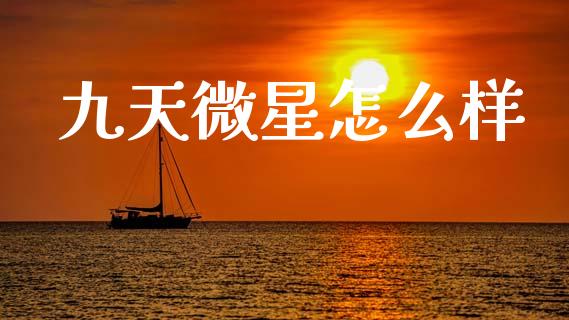 九天微星怎么样_https://www.apanben.com_股市分析_第1张