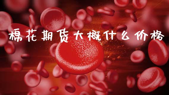 棉花期货大概什么价格_https://www.apanben.com_在线喊单_第1张